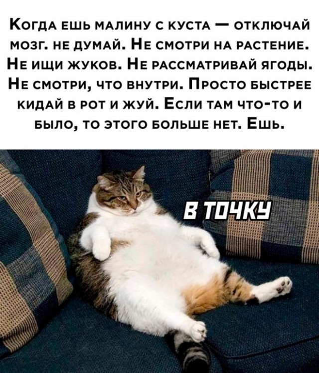 Картинки и мемы для настроения - 03
