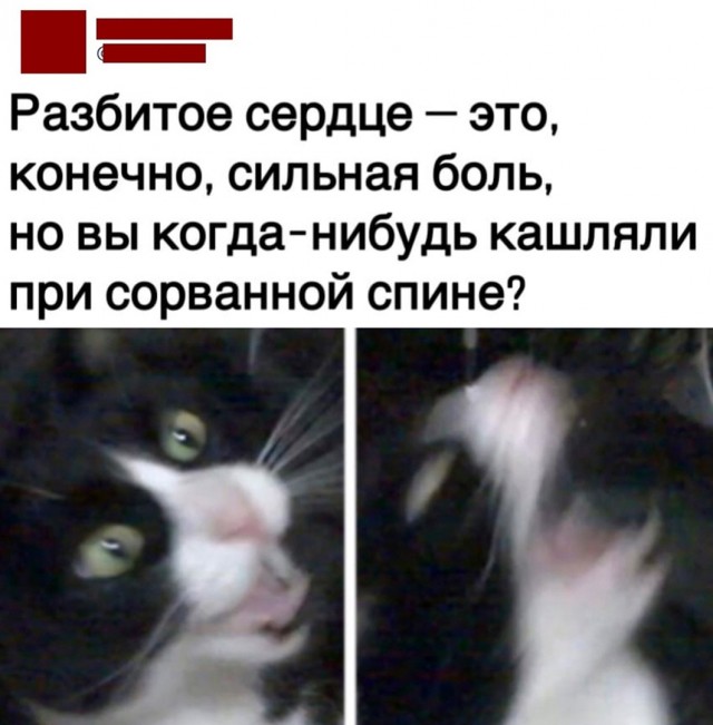 Так себе картинки 21.09.22