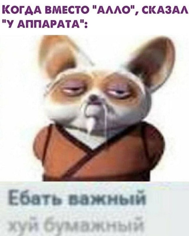 Весёлый полтишок 02.10.22