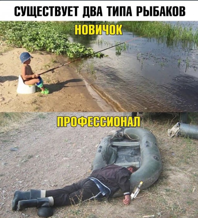 Так себе картинки 05.10.22