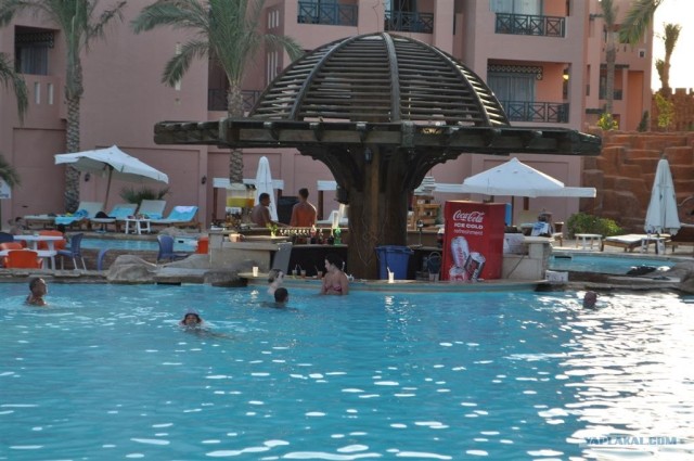 Как я ездил в Египет