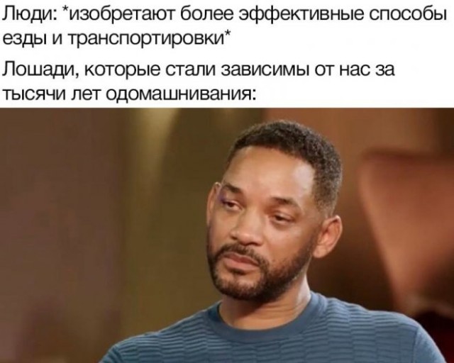 Так себе картинки 07.11.22