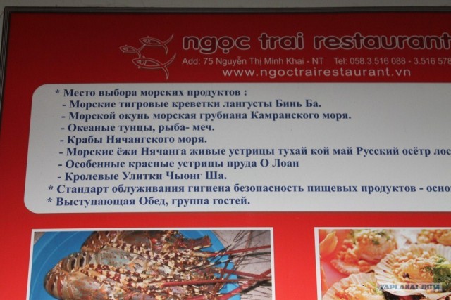 Социализм с человеческим лицом