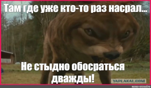 Программа  Аполлон и миссия Артемида