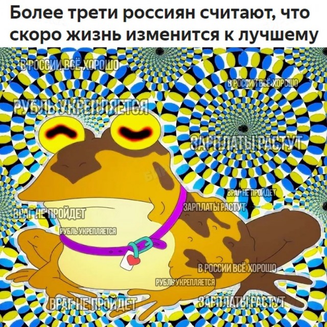 Весёлый полтишок 24.11.22