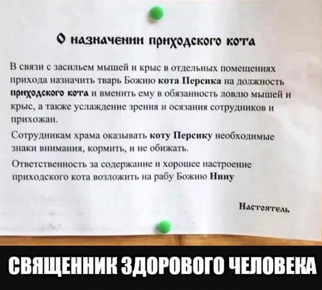 Как я на нем зарабатываю...