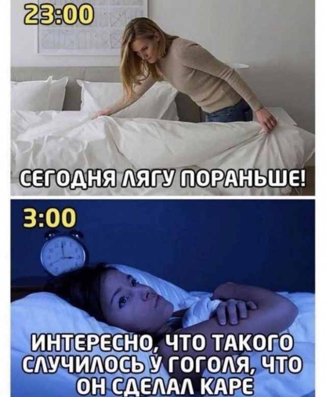 Весёлый полтишок 26.12.2022