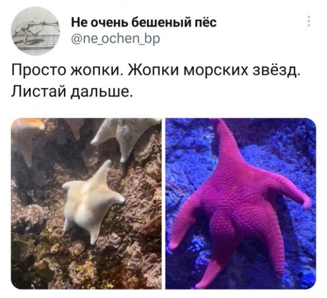 Картинки и мемы для настроения - 137