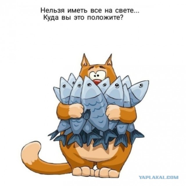 Жить ли с РСП?