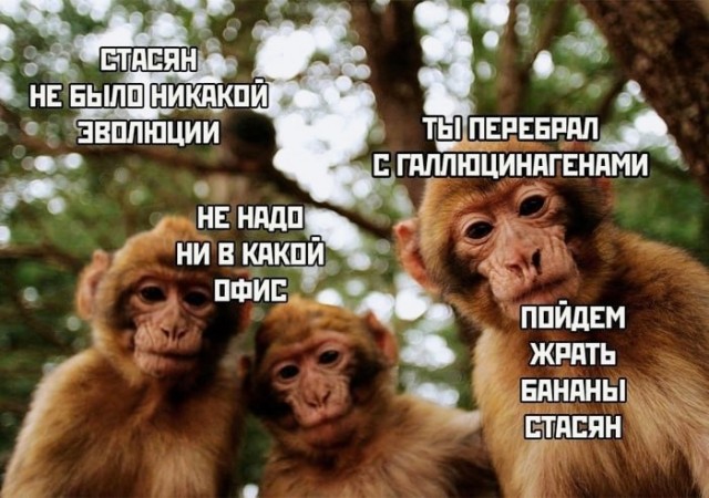 Картинки и мемы, всяко разно - 183