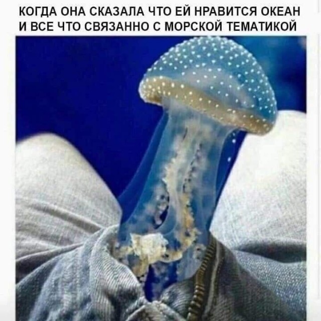 Так себе картинки 05.08.23