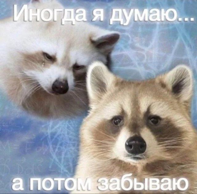 Приколы с налетом деградации