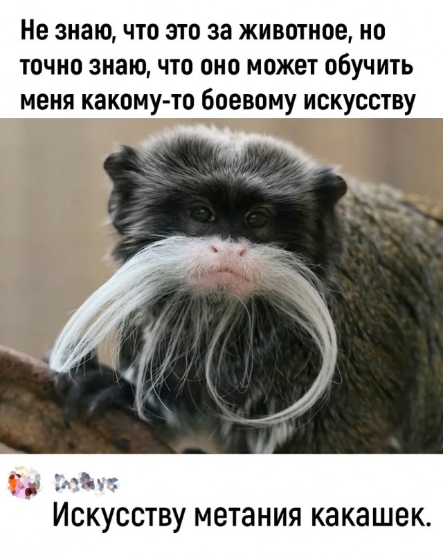 Так себе картинки 17.02.24
