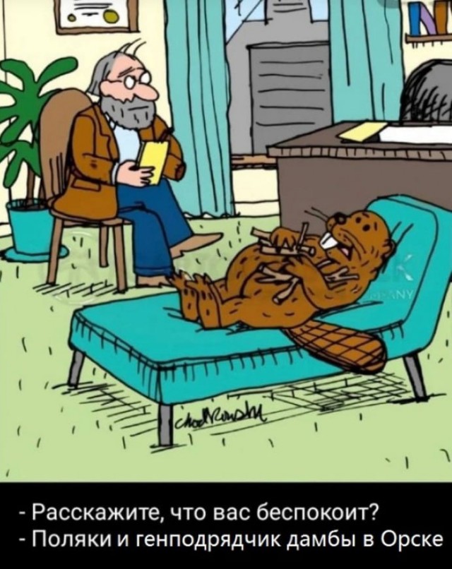 Звери...⁠⁠