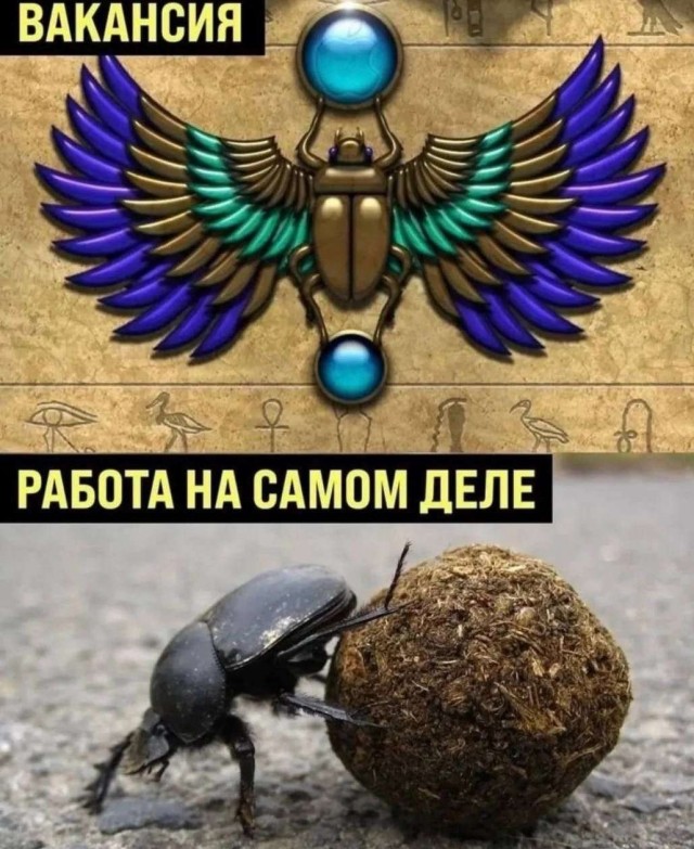 Завалялось тут случайно немного забавных картинок