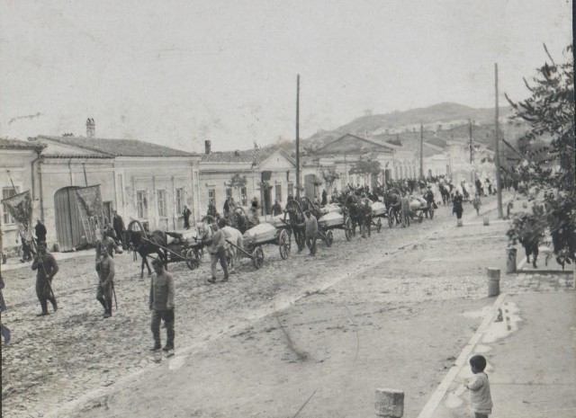 1917-1920. Из архива генерала Антона Ивановича Деникина