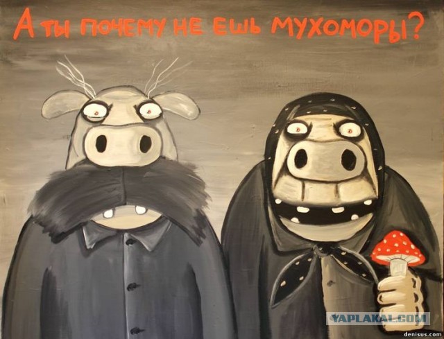 Свинушки (Коровники) съедобны или нет?