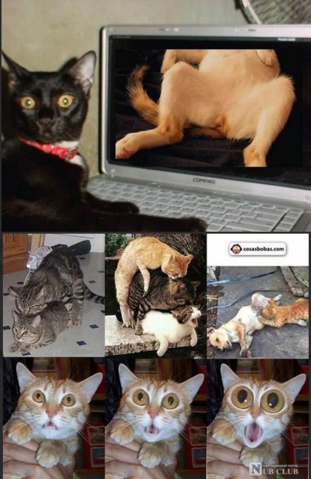 Завалялось тут случайно немного забавных картинок