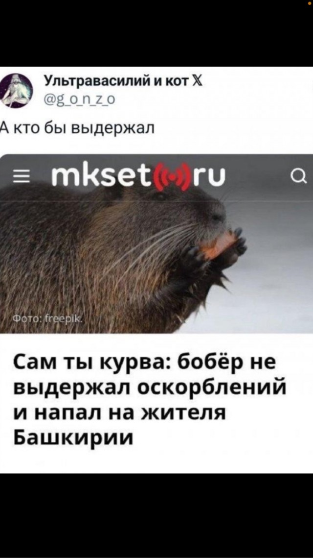 Падонги, кину чуть картинок. 10 штук