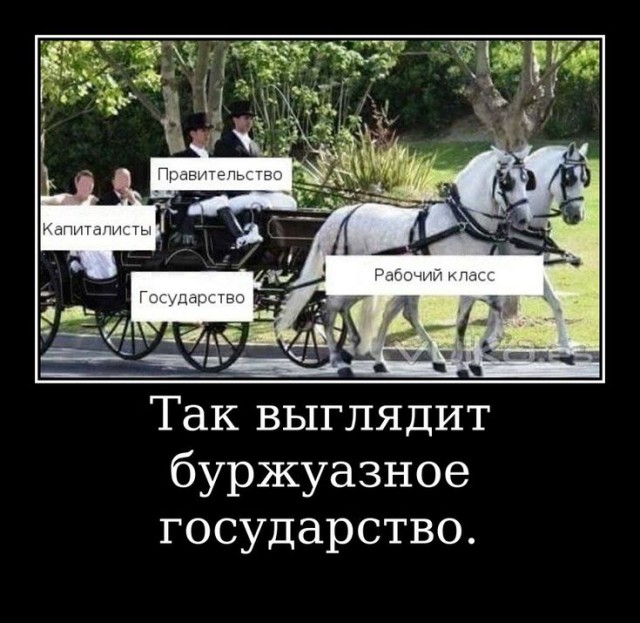 Прикольные и просто красивые картинки 13.06.2025