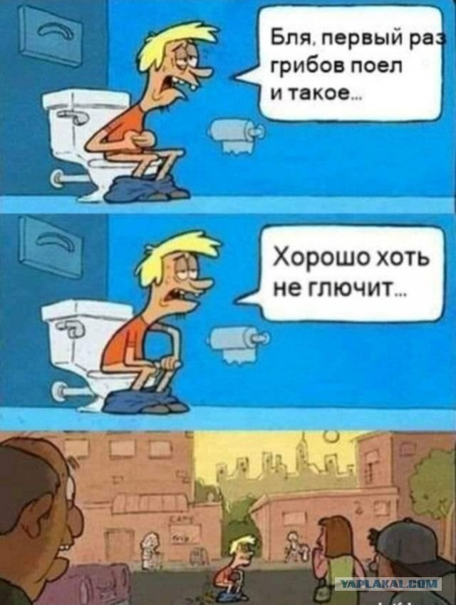 Псилоцин замедляет старение