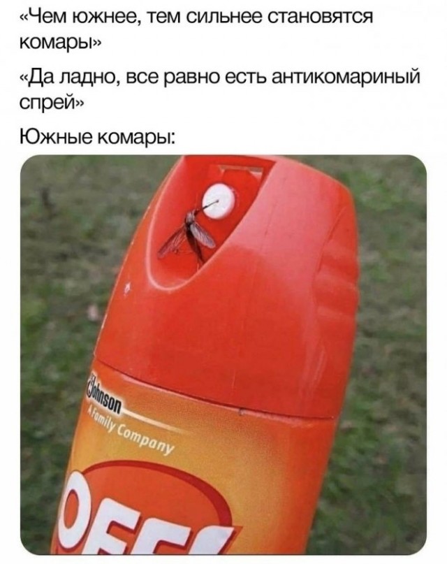 Веселые картинки во вторник (29.07)