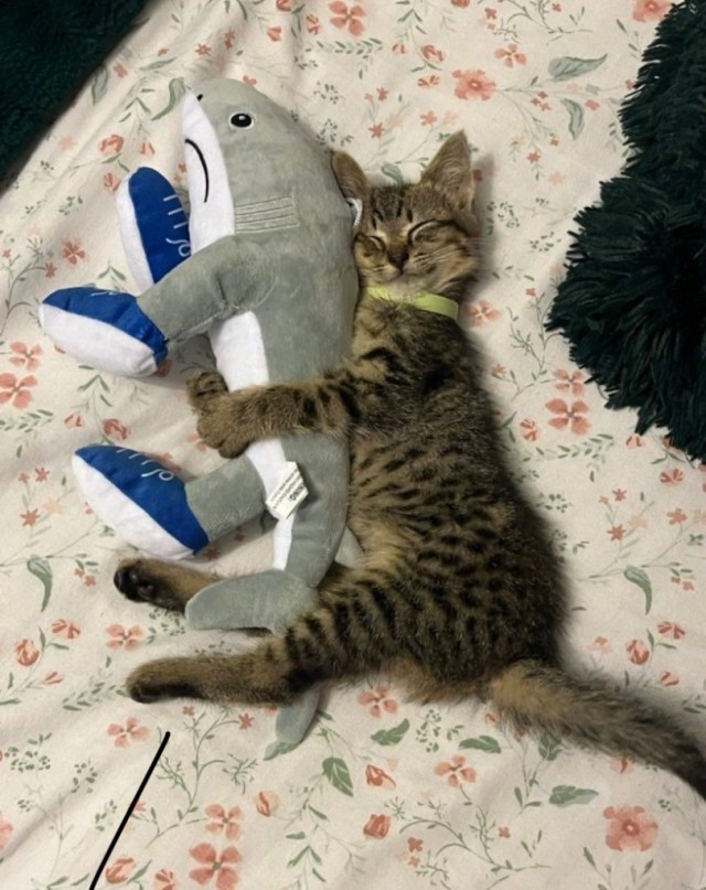 "Какой у меня большой карась. Здоровый, сука!"