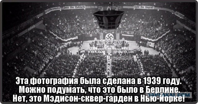 Про Лени Рифеншталь, коллеги.