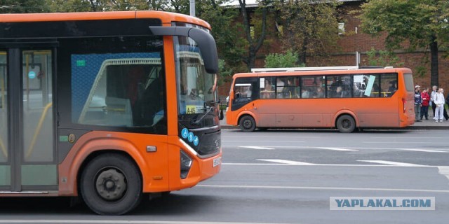 Закупку транспорта для Нижегородской области оценили в 12,6 млрд рублей