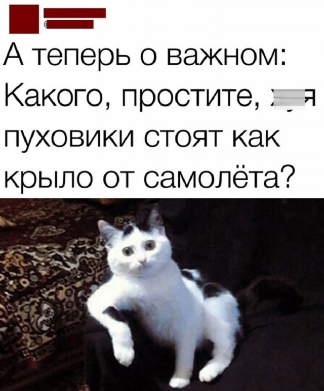 Так себе картинки 30.10.25