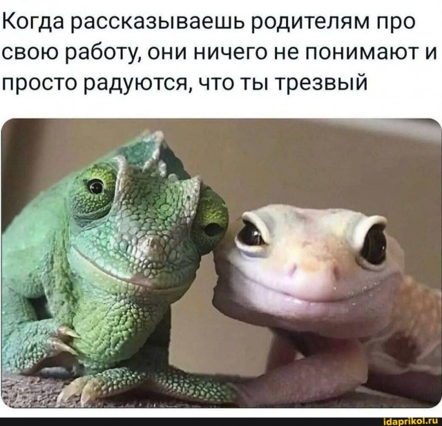 у меня радость короче