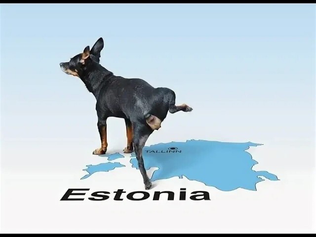 Эстония отказалась полностью вывозить из Омана семью, у членов которой оказалось гражданство РФ