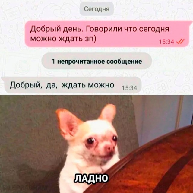 Картинки для деградации 158 (разной степени свежести)