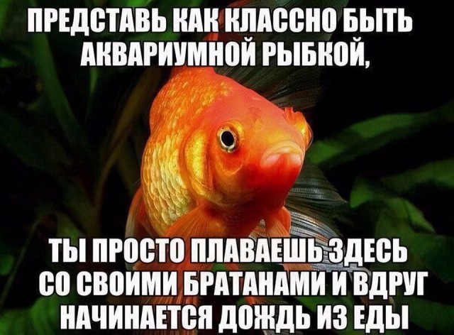 Пятничные картинки