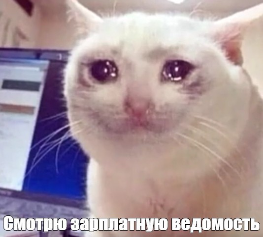 Росстат сообщил, что долг по зарплатам в России за месяц вырос на треть