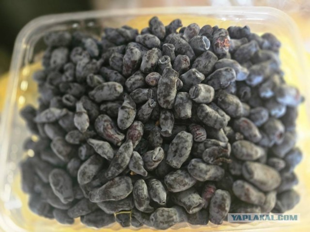 Середина июня