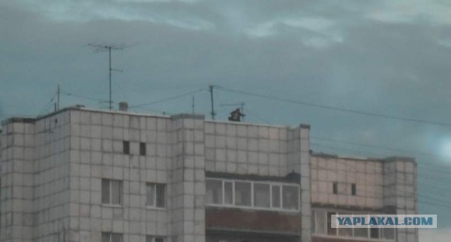 Обычный спальный район в Германии