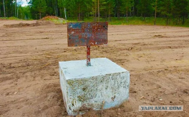 Лошатки