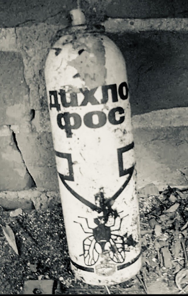Эволюции не было