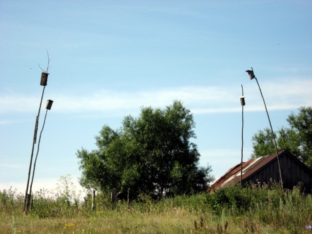 Поездка на Тамбовщину