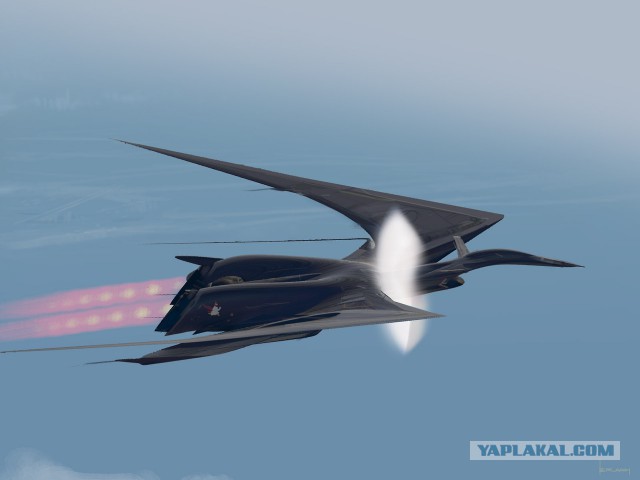 Захватывающие биомиметические самолеты
