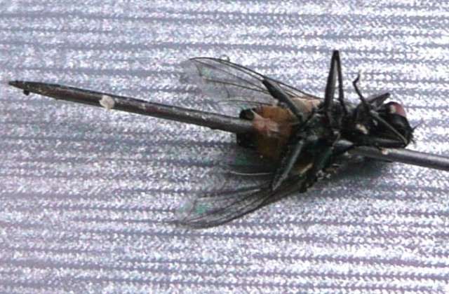 Бытовые предметы очень крупным планом