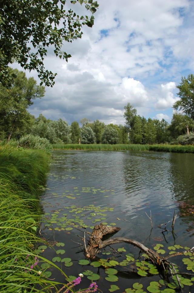 Деревенская Америка