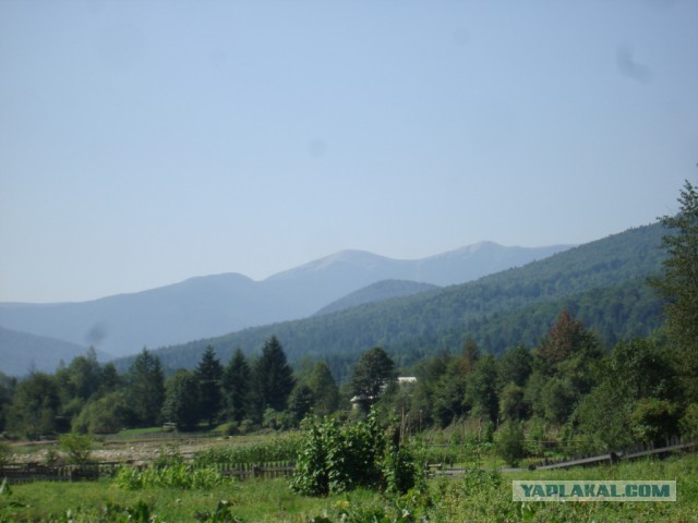 Горганы