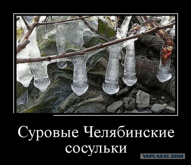 Вторничные картинки
