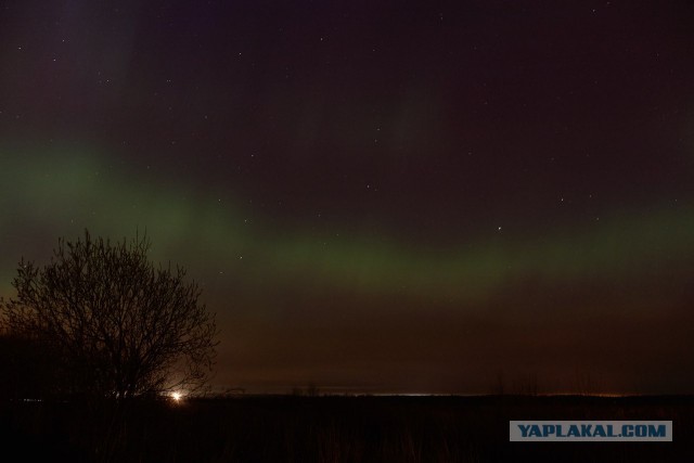 На Солнце творится какой-то караул!