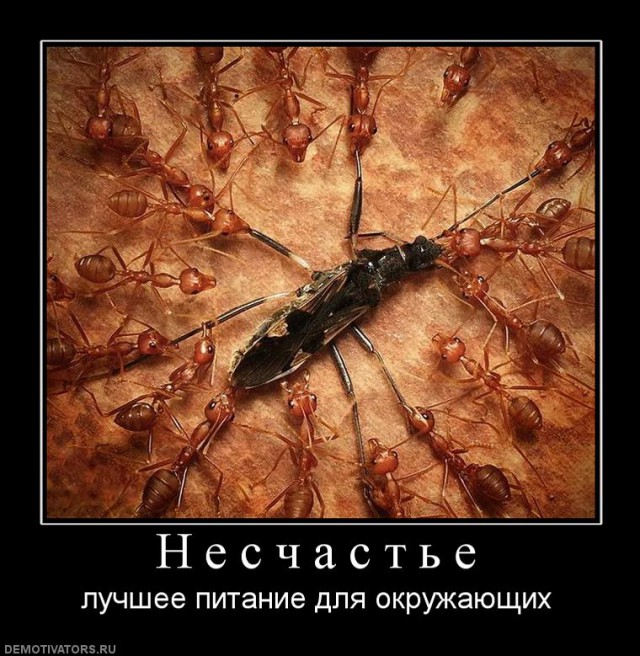 Вы хотите "демов"?
