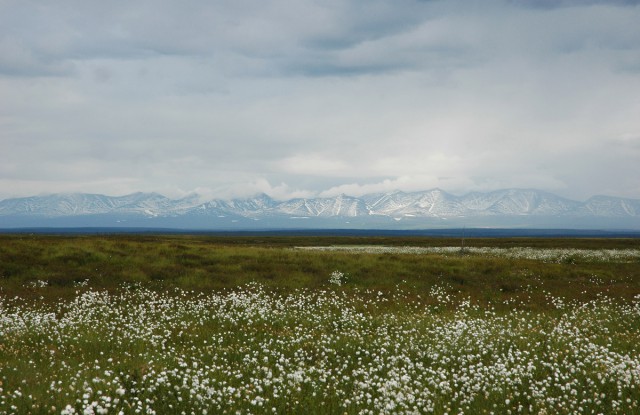 Деревенская Америка