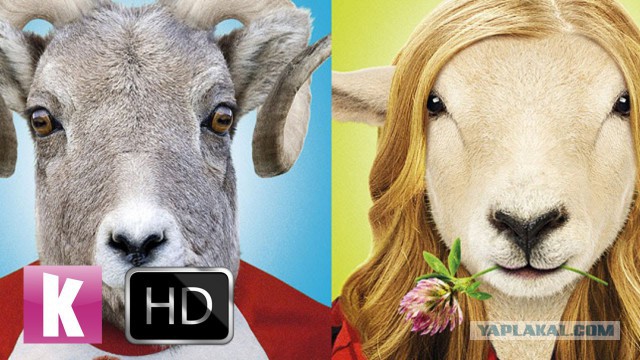 Какое точное сравнение)))