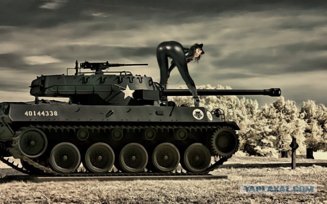 Wargaming 31